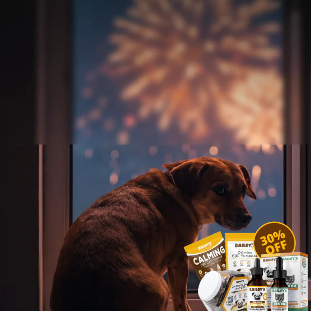 Bailey's CBD for Pets