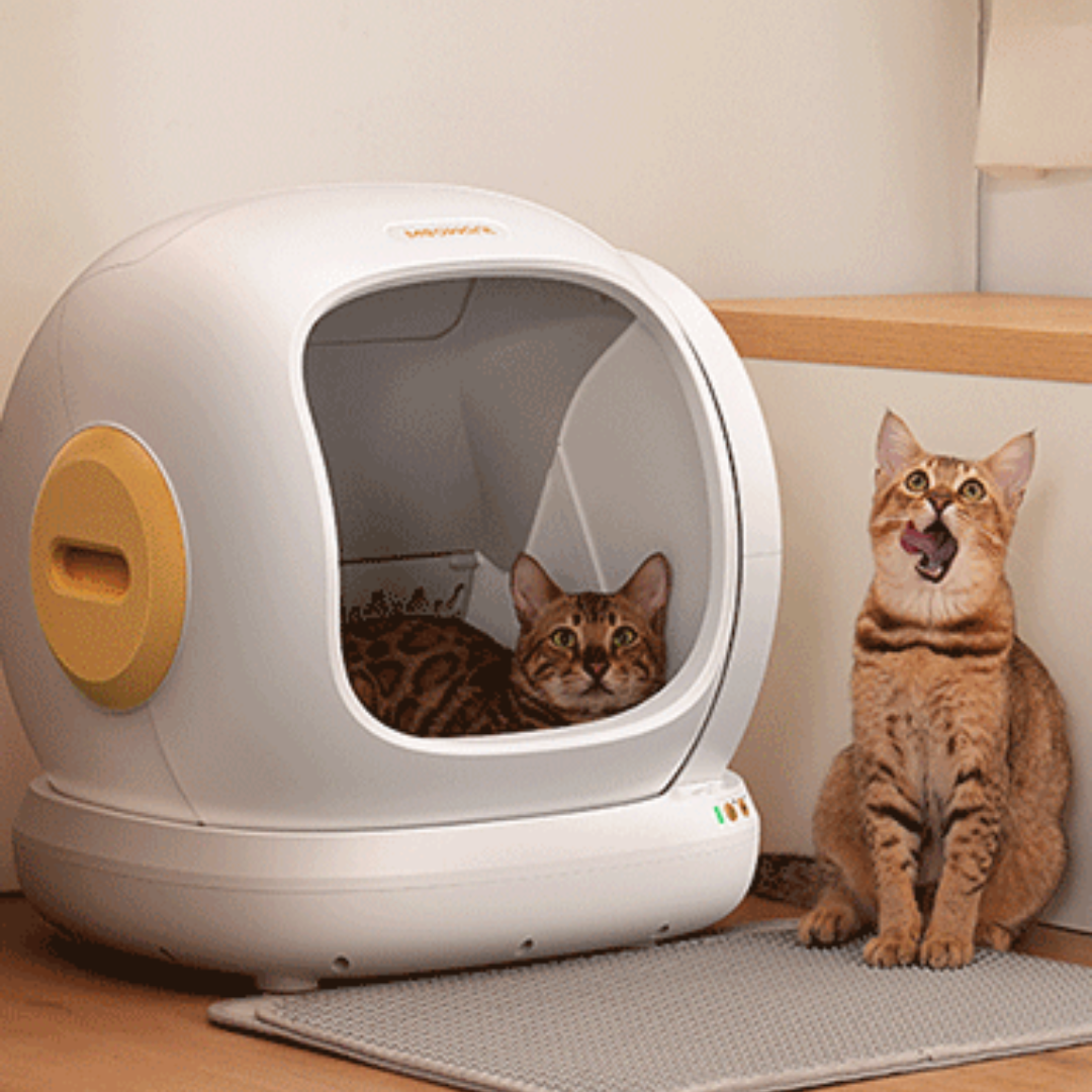 Meowant self-cleaning cat litter box