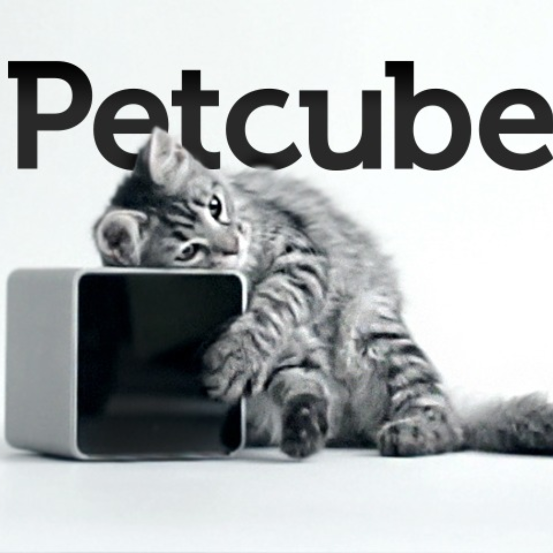 Petcube interactive pet camera